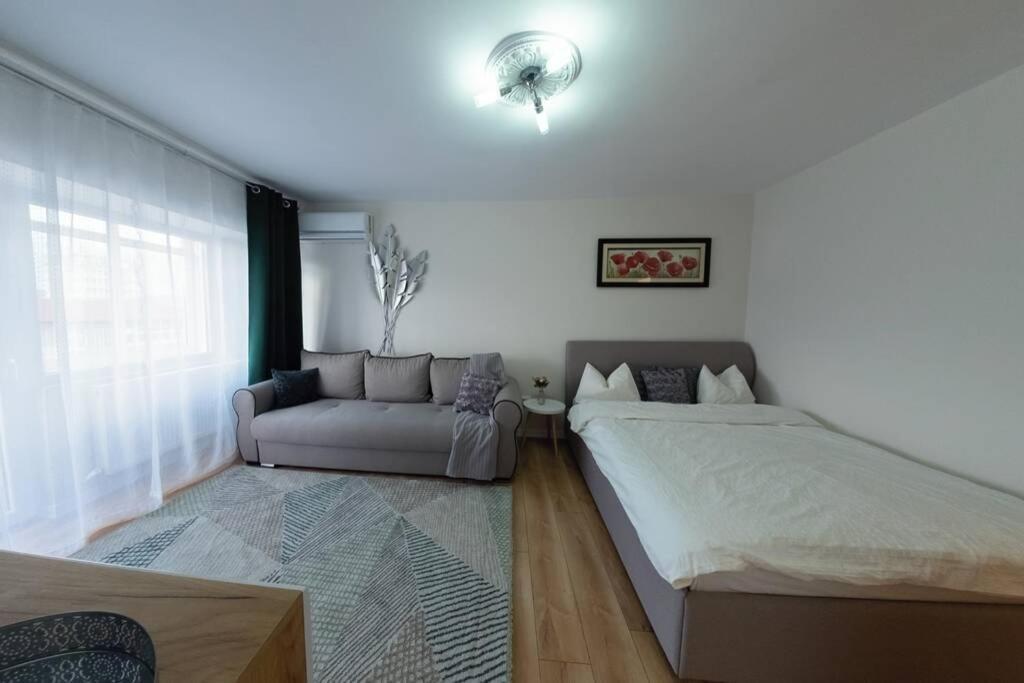 Studio With A View In City Center ترجوفيشت المظهر الخارجي الصورة